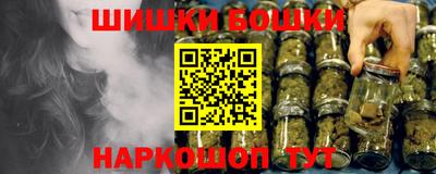 шишки Партизанск
