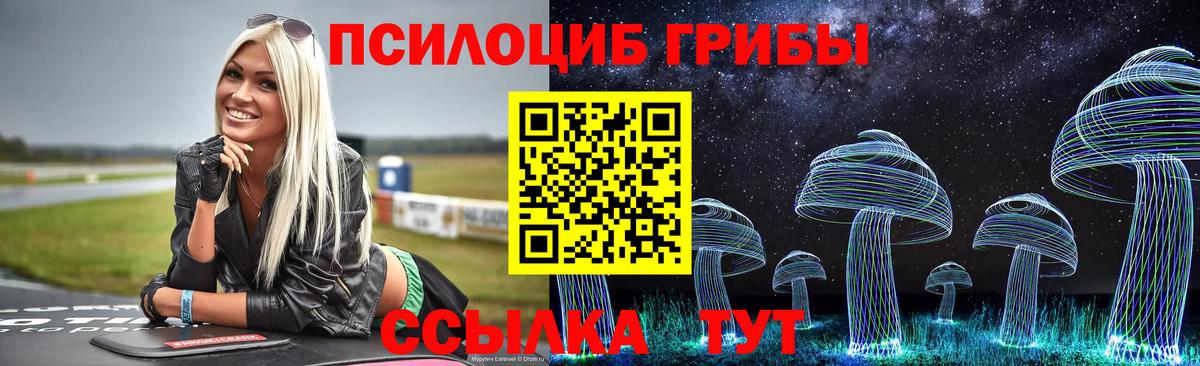 Псилоцибиновые грибы Psilocybe Ростов Великий